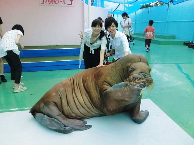 2日目　二見シーパラダイス (9).JPG